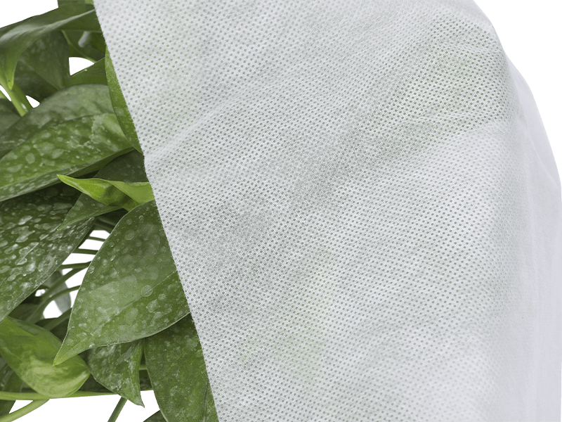 Agricultural Use Nonwoven Seges Covers, Harvest Cloth, Insulation Velum, Planta cover, etc