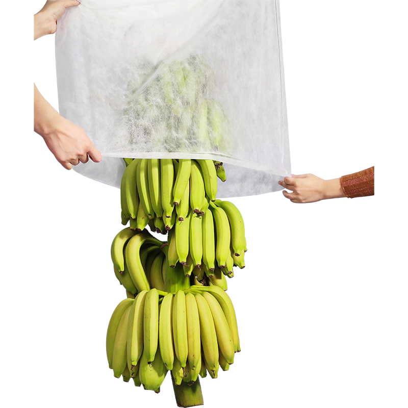 Nonwoven Plant operimentum Musa peram hortus fabricae