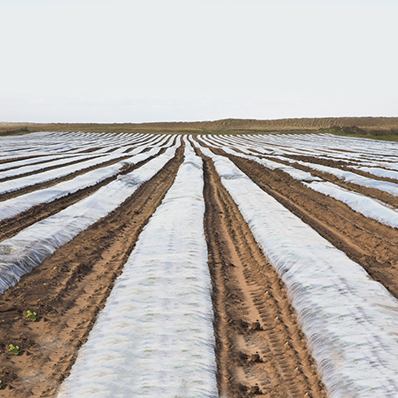 Ultra-wide splicing agriculturae nonwoven fabricae