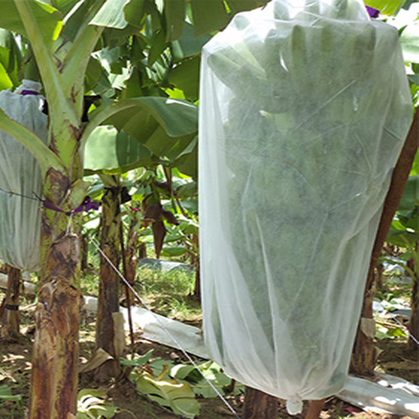 Nonwoven Plant operimentum Musa peram hortus fabricae