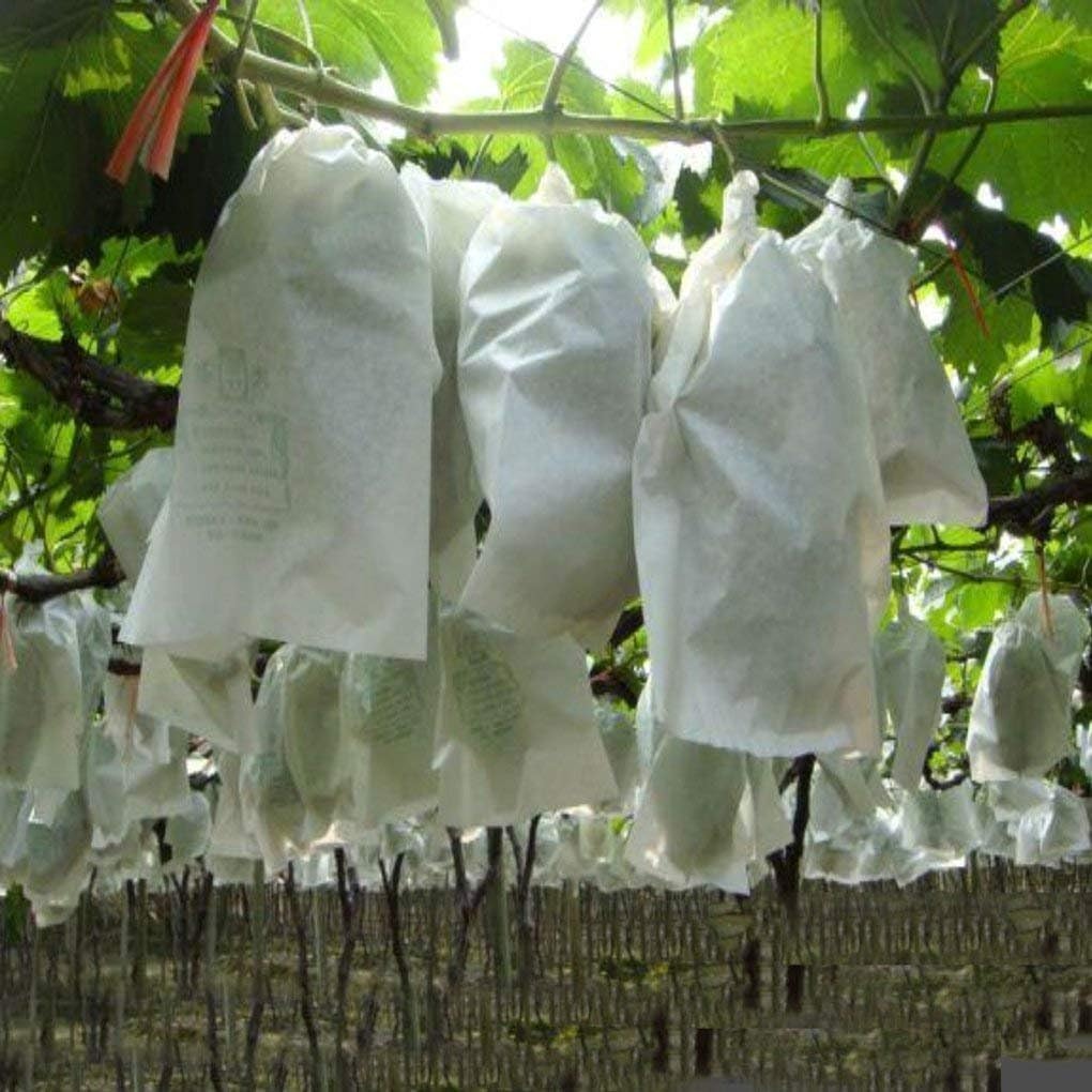 Nonwoven Plant operimentum Musa peram hortus fabricae